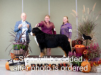 Dogshow 2024-10-26 BMDCNI Day 2--165237-2