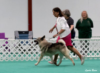 Dogshow 2024-06-29 NEINEA Candids--123140