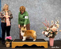 Dogshow 2025-04-05 2025 Interlocking SSC of Monee Win Photos --090043