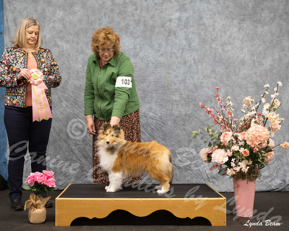 Dogshow 2025-04-05 2025 Interlocking SSC of Monee Win Photos --090046