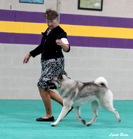 Dogshow 2024-06-30 NEINEA Candids--103112-3