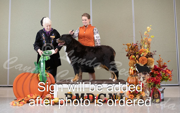 Dogshow 2024-10-25 BMDCNI Day 1--162250-2