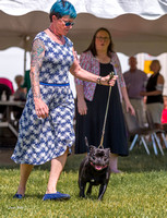 Dogshow 2022-06-19 Northeastern Illinois Kennel Club--133851-3
