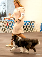 Dogshow 2022-03-05 CSSC Show 1 Candids --110306