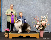 Dogshow 2025-04-05 2025 Interlocking SSC of Monee Win Photos --151743