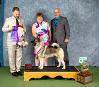 Dogshow 2022-07-02 NEINEA Win Photos --135842