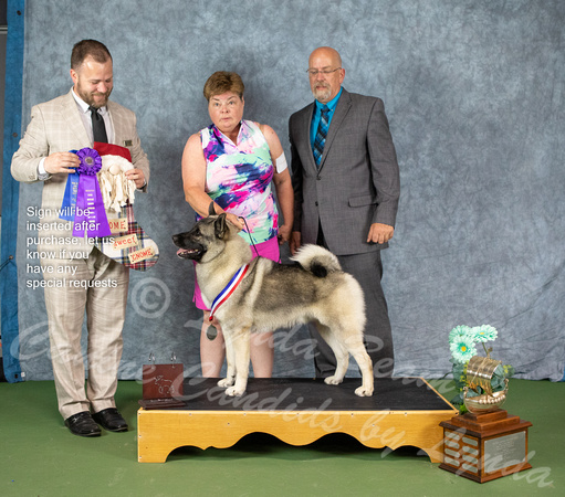 Dogshow 2022-07-02 NEINEA Win Photos --135842