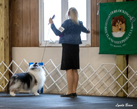 Dogshow 2025-04-05 2025 Interlocking SSC of Monee Candid Photos --110122