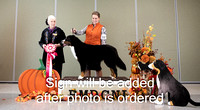 Dogshow 2024-10-25 BMDCNI Day 1--161603