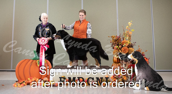 Dogshow 2024-10-25 BMDCNI Day 1--161603