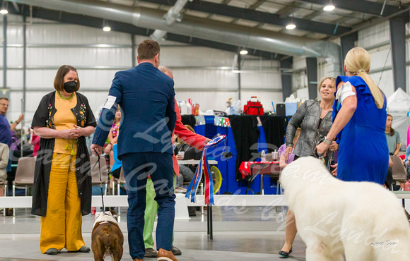 Dogshow 2022-06-15 Starved Rock KC--142018