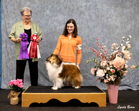 Dogshow 2025-04-05 2025 Interlocking SSC of Monee Win Photos --152213-4