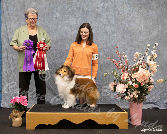 Dogshow 2025-04-05 2025 Interlocking SSC of Monee Win Photos --152213-4