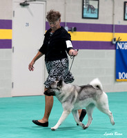 Dogshow 2024-06-30 NEINEA Candids--103658-2