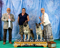 Dogshow 2024-06-29 NEINEA 2024 Win Photos--143054