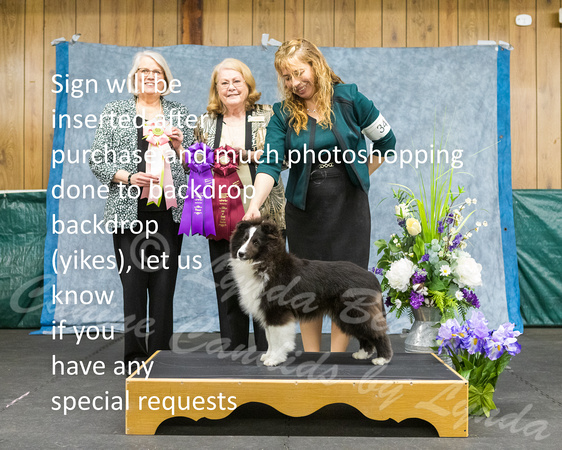 Dogshow 2022-04-09 ISSC Win Photos --130349