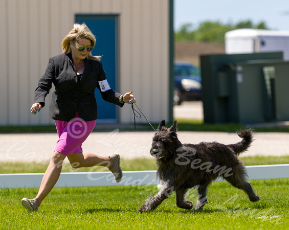 Dogshow 2022-06-17 Northeastern Illinois Kennel Club--130503-5