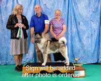 Dogshow 2024-06-30 NEINEA 2024 Win Photos--105543