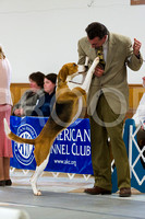 Best in Show - Clinton Iowa KC, Saturday, March 30 2012