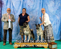 Dogshow 2024-06-29 NEINEA 2024 Win Photos--143054-3