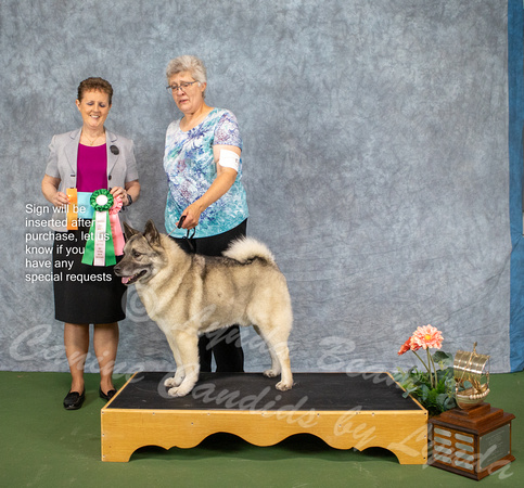 Dogshow 2022-07-03 NEINEA Win Photos --101329-3