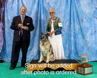 Dogshow 2024-06-30 NEINEA 2024 Win Photos--121856