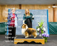 Dogshow 2022-04-09 ISSC Win Photos --133947