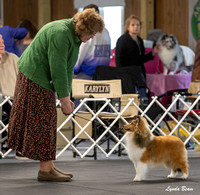 Dogshow 2025-04-05 2025 Interlocking SSC of Monee Candid Photos --094427