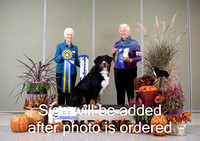 Dogshow 2024-10-26 BMDCNI Day 2--111620-3