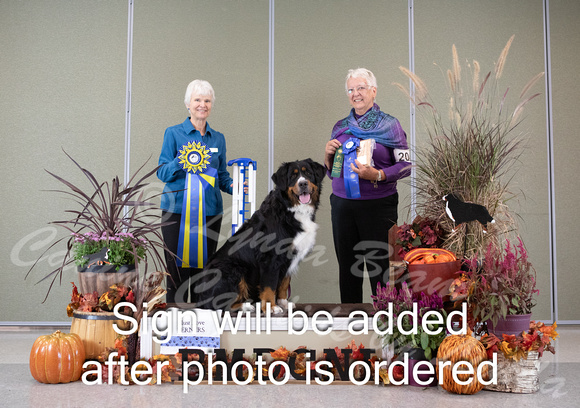 Dogshow 2024-10-26 BMDCNI Day 2--111620-3