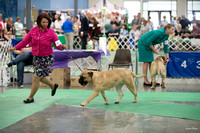 Dogshow 2016-06-18 Grayslake--111658