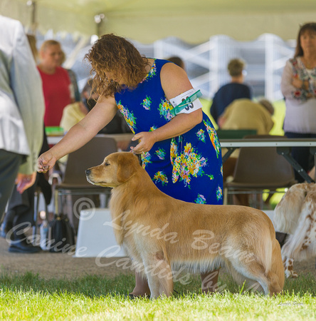 Dogshow 2022-06-17 Northeastern Illinois Kennel Club--133812-2