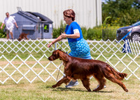 Dogshow 2022-07-30 Waukesha KC--112654