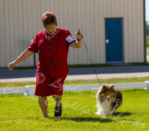 Dogshow 2022-06-17 Northeastern Illinois Kennel Club--152922-2