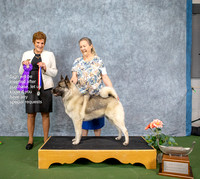 Dogshow 2022-07-03 NEINEA Win Photos --115244-3