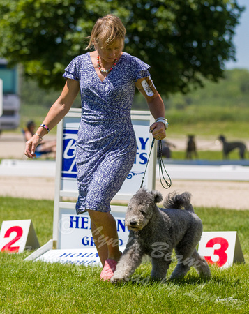 Dogshow 2022-06-17 Northeastern Illinois Kennel Club--131135-3