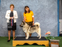 Dogshow 2022-07-03 NEINEA Win Photos --114824-3