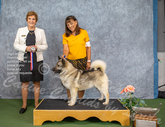 Dogshow 2022-07-03 NEINEA Win Photos --114824-3