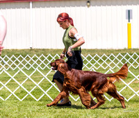 Dogshow 2022-07-30 Waukesha KC--112955