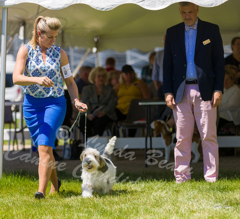 Dogshow 2022-06-17 Northeastern Illinois Kennel Club--132833-3