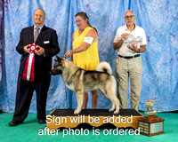 Dogshow 2024-06-30 NEINEA 2024 Win Photos--121625