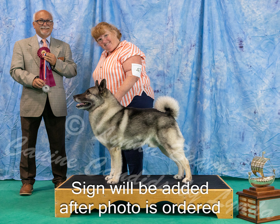 Dogshow 2024-06-29 NEINEA 2024 Win Photos--142205