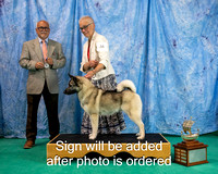 Dogshow 2024-06-29 NEINEA 2024 Win Photos--142643