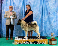 Dogshow 2024-06-29 NEINEA 2024 Win Photos--142507