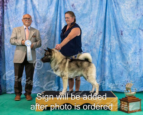 Dogshow 2024-06-29 NEINEA 2024 Win Photos--142507