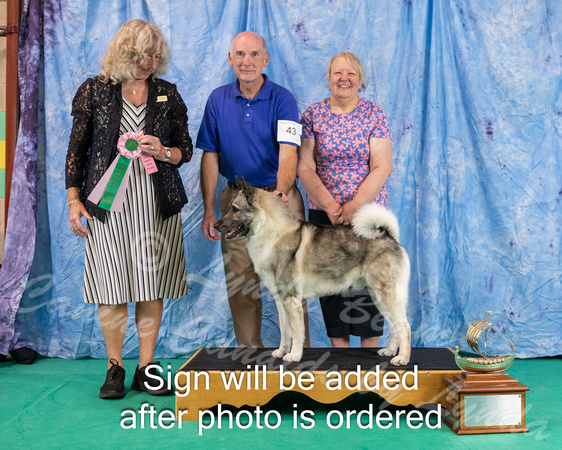 Dogshow 2024-06-30 NEINEA 2024 Win Photos--105627