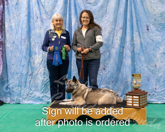 Dogshow 2024-06-30 NEINEA 2024 Win Photos--100347