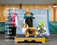 Dogshow 2022-04-09 ISSC Win Photos --133938