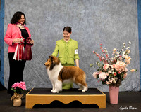 Dogshow 2025-04-05 2025 Interlocking SSC of Monee Win Photos --115304