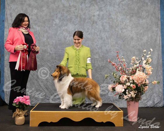 Dogshow 2025-04-05 2025 Interlocking SSC of Monee Win Photos --115304